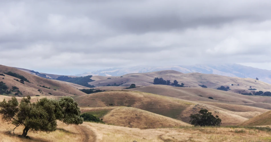 Senarai Bucket Hayward, CA. Tempat Wajib Dilihat untuk Pelawat Kali Pertama